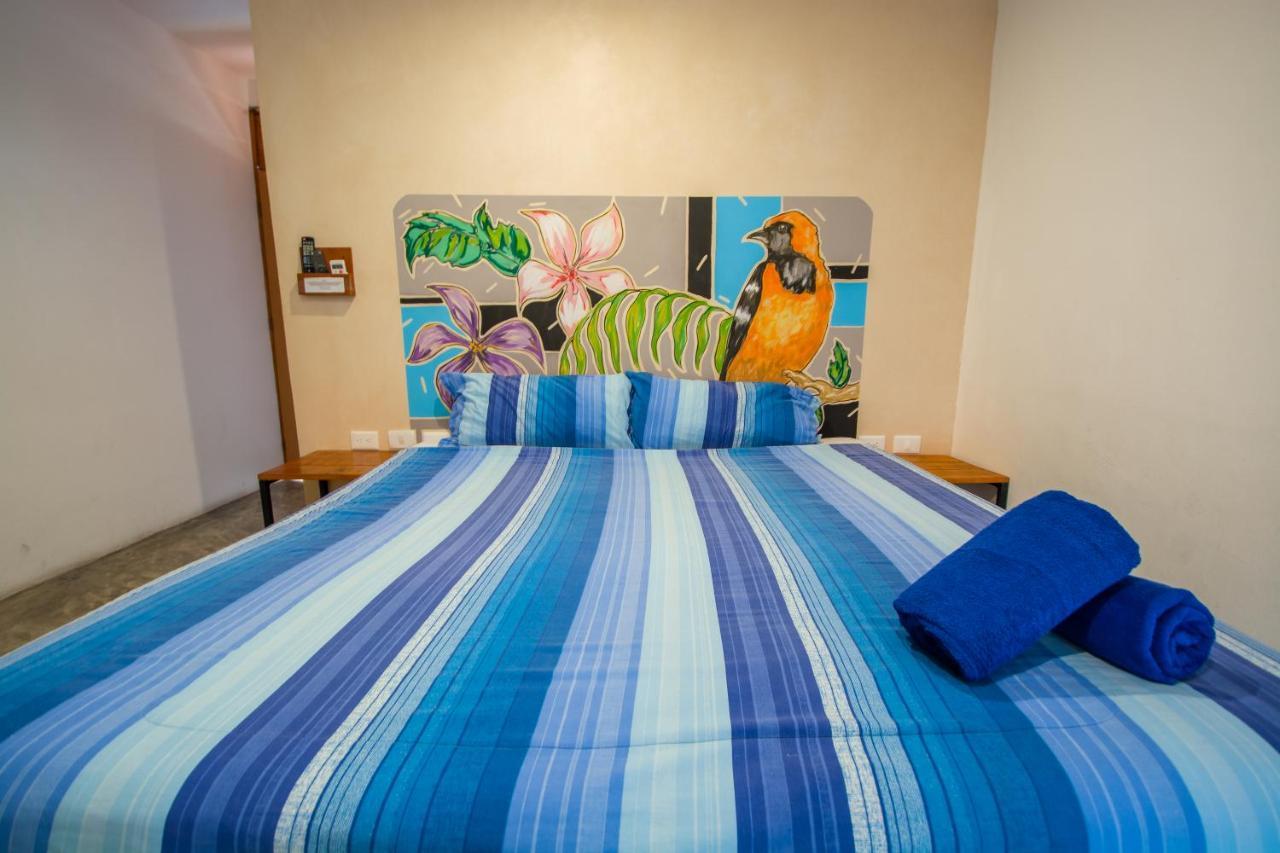 פלאייה דל כרמן Hotel Villas San Ignacio מראה חיצוני תמונה